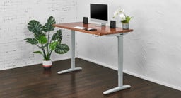 60" x 30" Reclaimed Birch Butcher Block Solid Wood Standing Desk