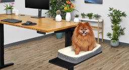 Place our Pet Bed on top of your Sidecar Shelf and keep furry friends close by